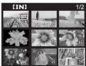 OLYMPUS X710 - Visualización de miniaturas (indice) - 1