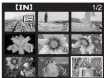 OLYMPUS X710 - Thumbsail (Index) Display - 1