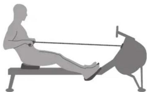 TAURUS RowX - Correct - 1