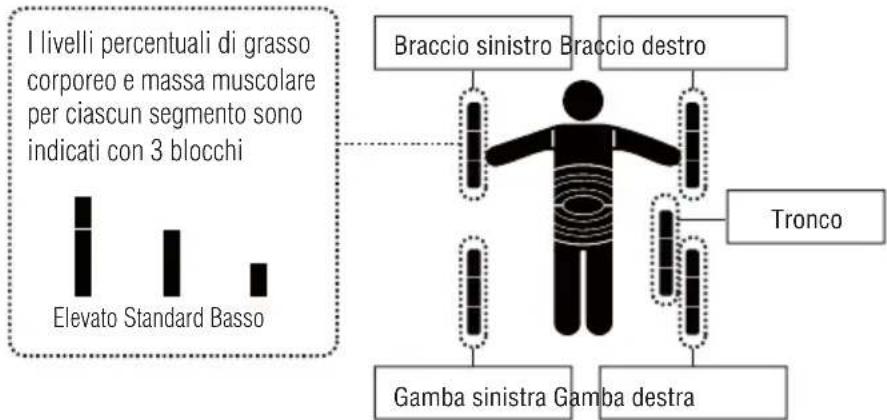 I livelli percentuali di grasso corporeo e massa muscolare per ciascun segmento sono indicati con 3 blocchi Elevato Standard Basso Braccio sinistro Braccio destro Tronco Gamba sinistra Gamba destra