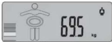 6.95 kg