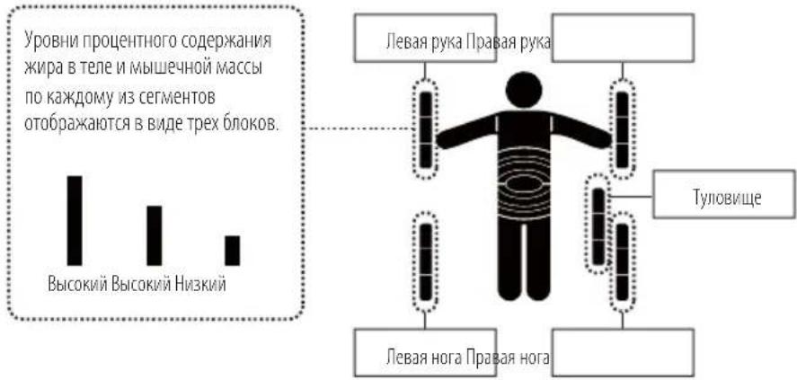 TANITA InnerScan V - ПРОСМОТР ПОКАЗАНИЙ ПО КАЖДОМУ ИЗ СЕГМЕНТОВ - 2