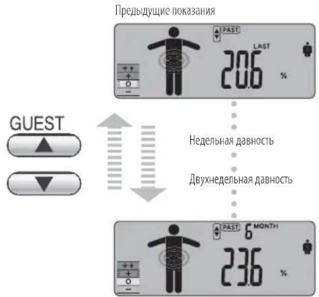TANITA InnerScan V - Динамика изменения висцерального жира - 2