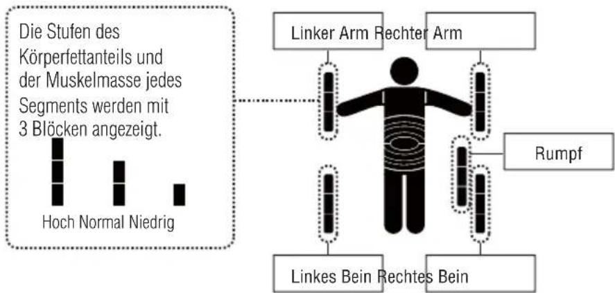 TANITA InnerScan V - WIE MAN DIE MESSWERTE DER EINZELNEN SEGMENTE ANZEIGT - 2