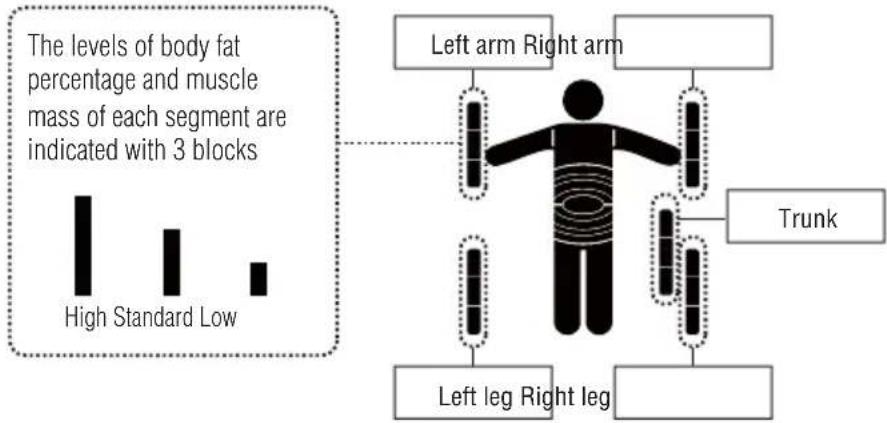 TANITA InnerScan V - HOW TO SEE THE READING OF EACH SEGMENT - 2