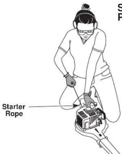 Yard-Man YM290 - STARTING INSTRUCTIONS - 2