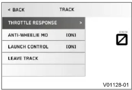 KTM 790 Duke L (A2) (2019) - Track - 1