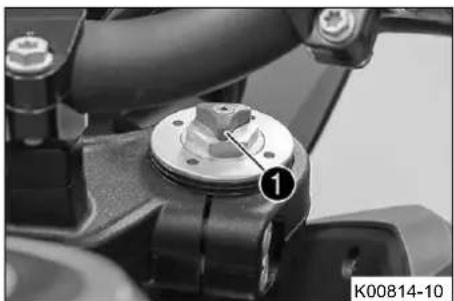KTM 1290 Super Adventure R (2019) - PAnpoopiec - 1