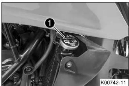 KTM 250 Duke (2019) - Ppoeiobtooin - 1