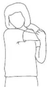 SportPlus SPHT9600iE - EXERCISE 3: SHOULDER STRETCHES - 1