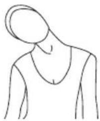 SportPlus SPHT9600iE - EXERCICE1: Exercices pour la NUQUE - 1