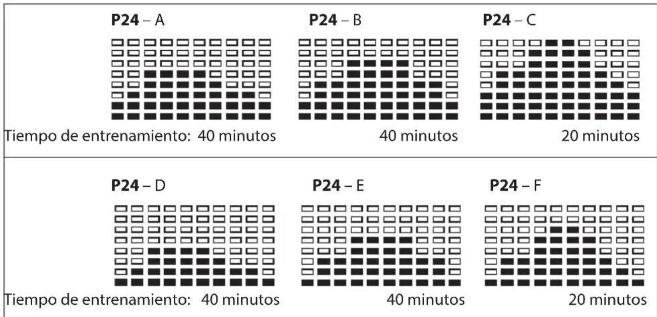 SportPlus SPHT9600iE - PROGRAMAS P24 - PROGRAMA PRUEBA GRASA CORPORAAL - 1
