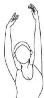 SportPlus SPHT9600iE - EXERCISE 4: ARM STRETCHES - 1