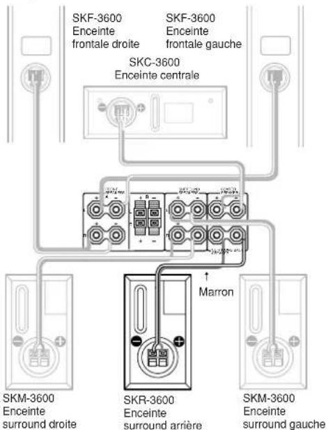 ONKYO SKR3600 - Branchements - 2