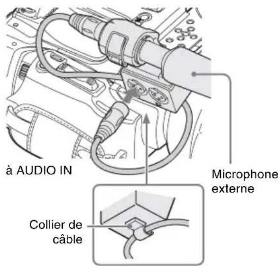 SONY PMW100 - Connectez le cable du microphone aux connecteurs AUDIO IN CH-1/CH-2. - 1