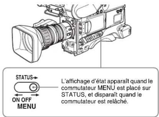 SONY PDWF335K - Pour montrer l'affichage d'état - 1