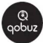 SONORO Maestro SO1000 - SERVICES DE STREAMING - 10