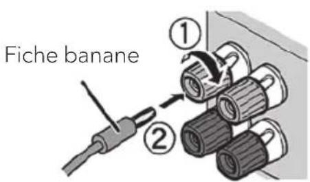 SONORO Maestro SO1000 - Utilisez une fiche banane - 1