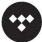 SONORO Maestro SO1000 - SERVICES DE STREAMING - 8
