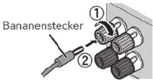 SONORO Maestro SO1000 - Verwenden Sie einen Bananenstecker - 1