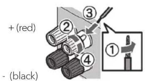 SONORO Maestro SO1000 - Connecting the speaker cables - 1