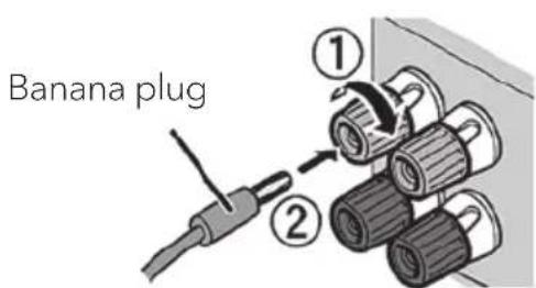 SONORO Maestro SO1000 - Using a banana plug - 1