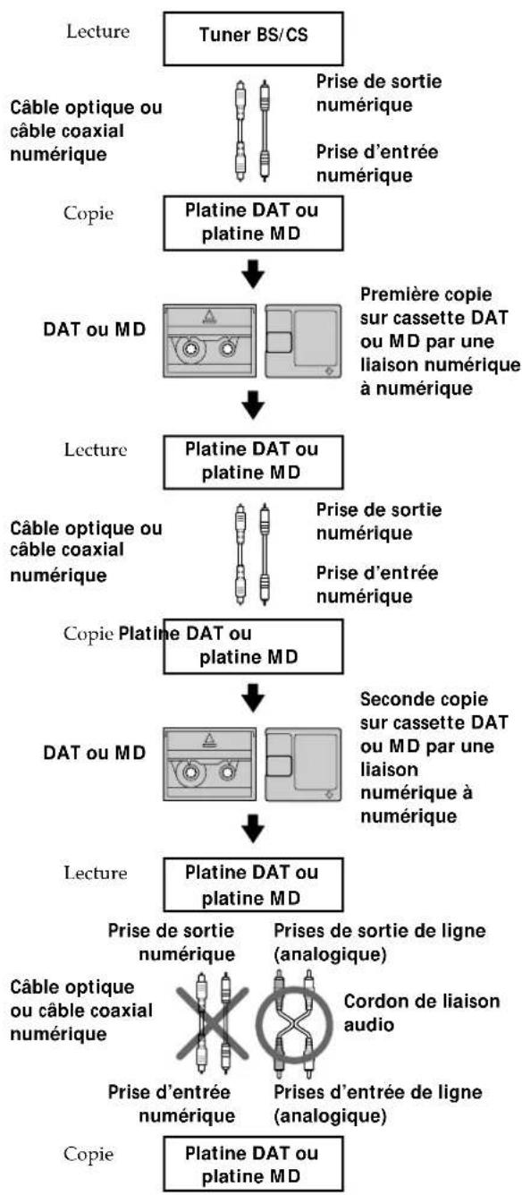 SONY MXDD5C - Guide du système de protection contre la copie abusive (SCMS) - 2