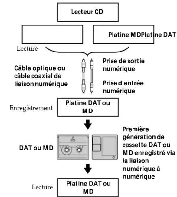 SONY MDSJE320 - Système de protection contre la copie abusive - 1