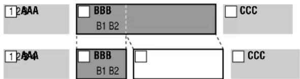 1 2AAA BBB B1 B2 CCC 1 2AAA BBB B1 B2 CCC
