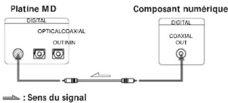 SONY MDSJE510 - - Raccordement du câble coaxial de liaison numérique - 1