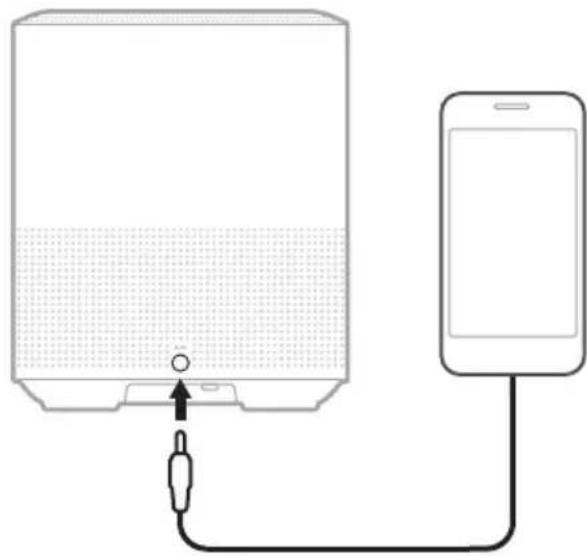 BOSE Home Speaker 450 - 連接音訊連接線 - 1