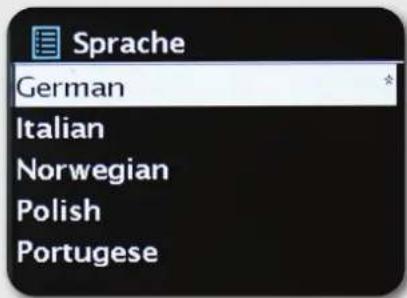 Imperial Dabman i550 CD - Language - 1