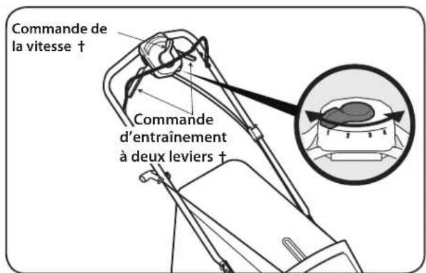 REMINGTON RM310 - Commandes et caractéristiques - 2