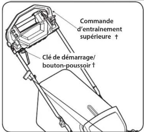 REMINGTON RM310 - Commandes et caractéristiques - 4