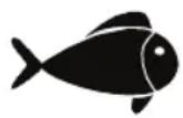 FOODSAVER Urban Premium FSV015 - Meat and Fish - 2
