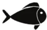 FOODSAVER Urban Premium FSV015 - Viandes et poissons - 2