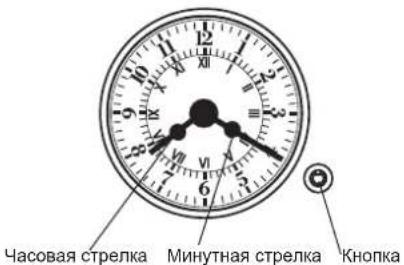 Часовая стрелка Минутная стрелка Кнопка