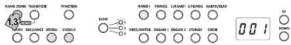 KORG LP380U - Appuyez sur le bouton PIANO SONG. - 1