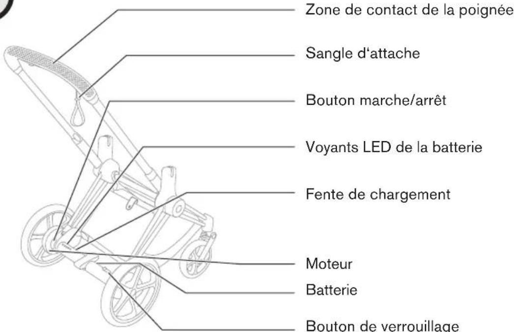 Zone de contact de la poignée Sangle d'attache Bouton marche/arrêt Voyants LED de la batterie Fente de chargement Moteur Batterie Bouton de verrouillage