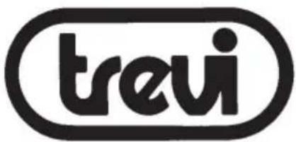 Trevi MDV 6380 DAB - Recommandations pour l'élimination correcte du produit. - 1