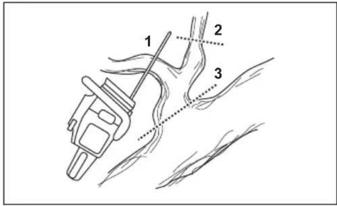 HUSQVARNA 545 II - Pour utiliser la technique d'élagage - 3