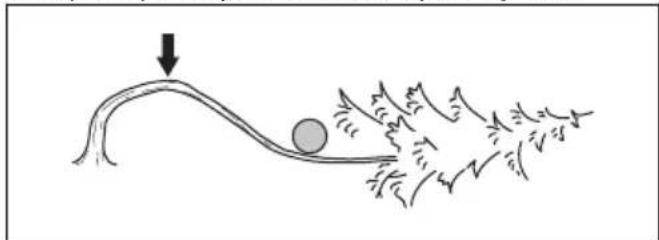 HUSQVARNA 545 II - Bomen en takken zagen die onder spanning staan - 1