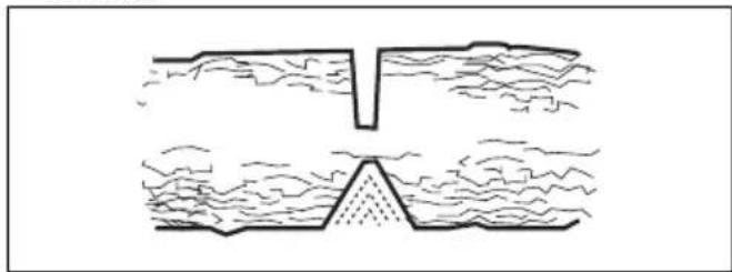 HUSQVARNA 545 II - Sagen in Baumstammen und Asten, die unter Spannung stehen - 3