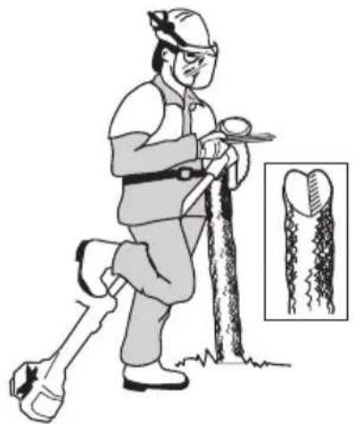 HUSQVARNA 545FR - Feilen der Sageklinge - 2