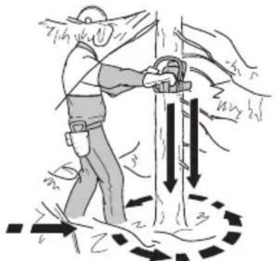 HUSQVARNA 439 - Clearing the trunk and preparing your retreat - 1