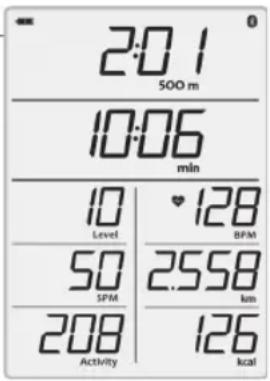KETTLER Regatta 300 - Training - 1