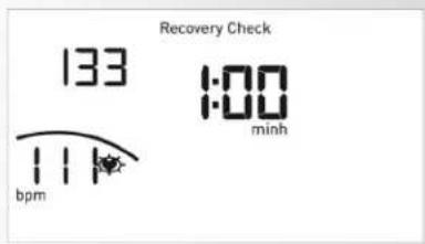 KETTLER Rower 2.0 - Training Resumption - 16