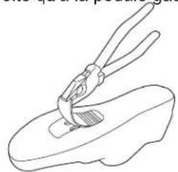 Schwinn IC8 - Installation des cales (taquets) sur des chaussures de cyclisme (chaussures de cyclisme non fournies) - 1