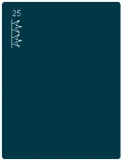 PFAFF Creative 4.5 - Points utilitaires - 27