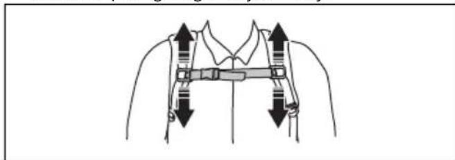 HUSQVARNA 543 RBX - To adjust the harness - 3